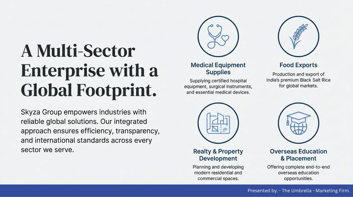 Skyza company-profile slide showing medical equipment, food exports, realty and overseas education as four business verticals